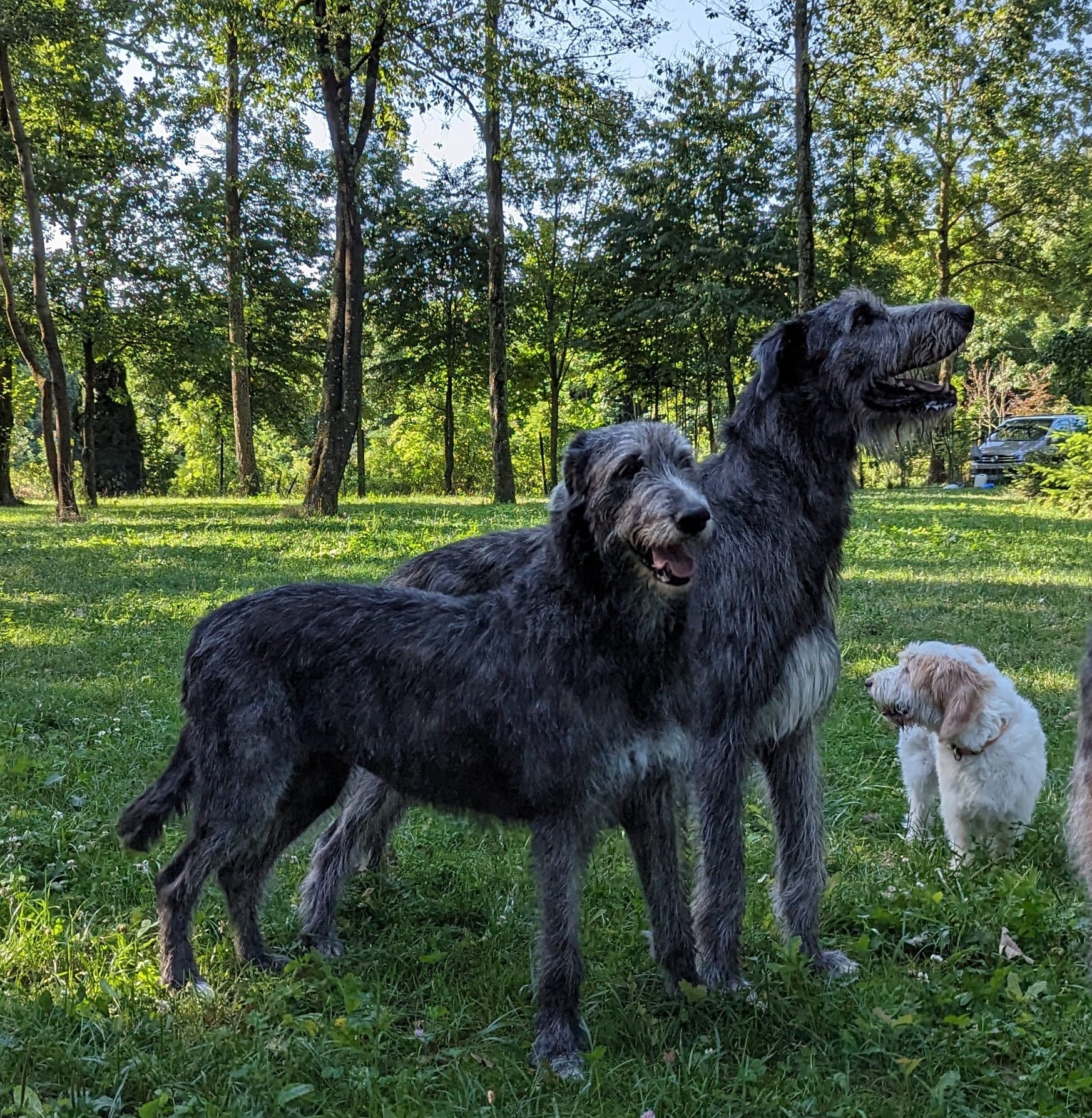 357747223 10039507879407665 8274850324359815205 n